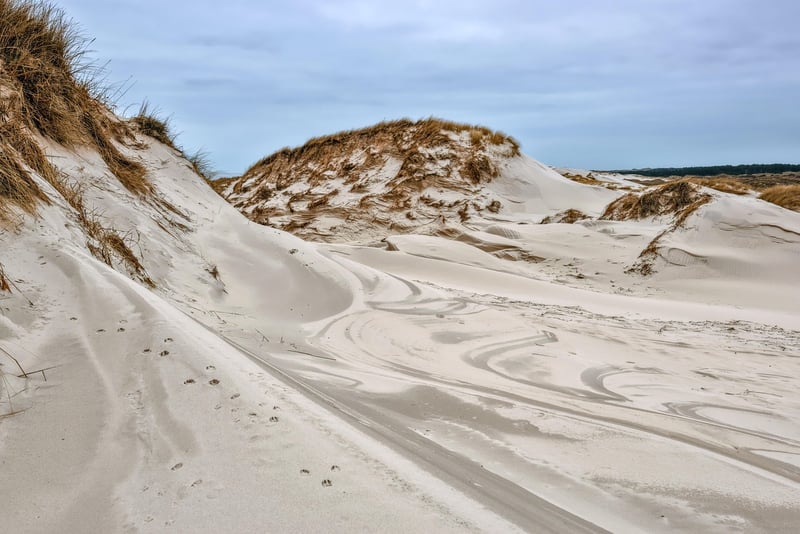 Desert Dunes Image
